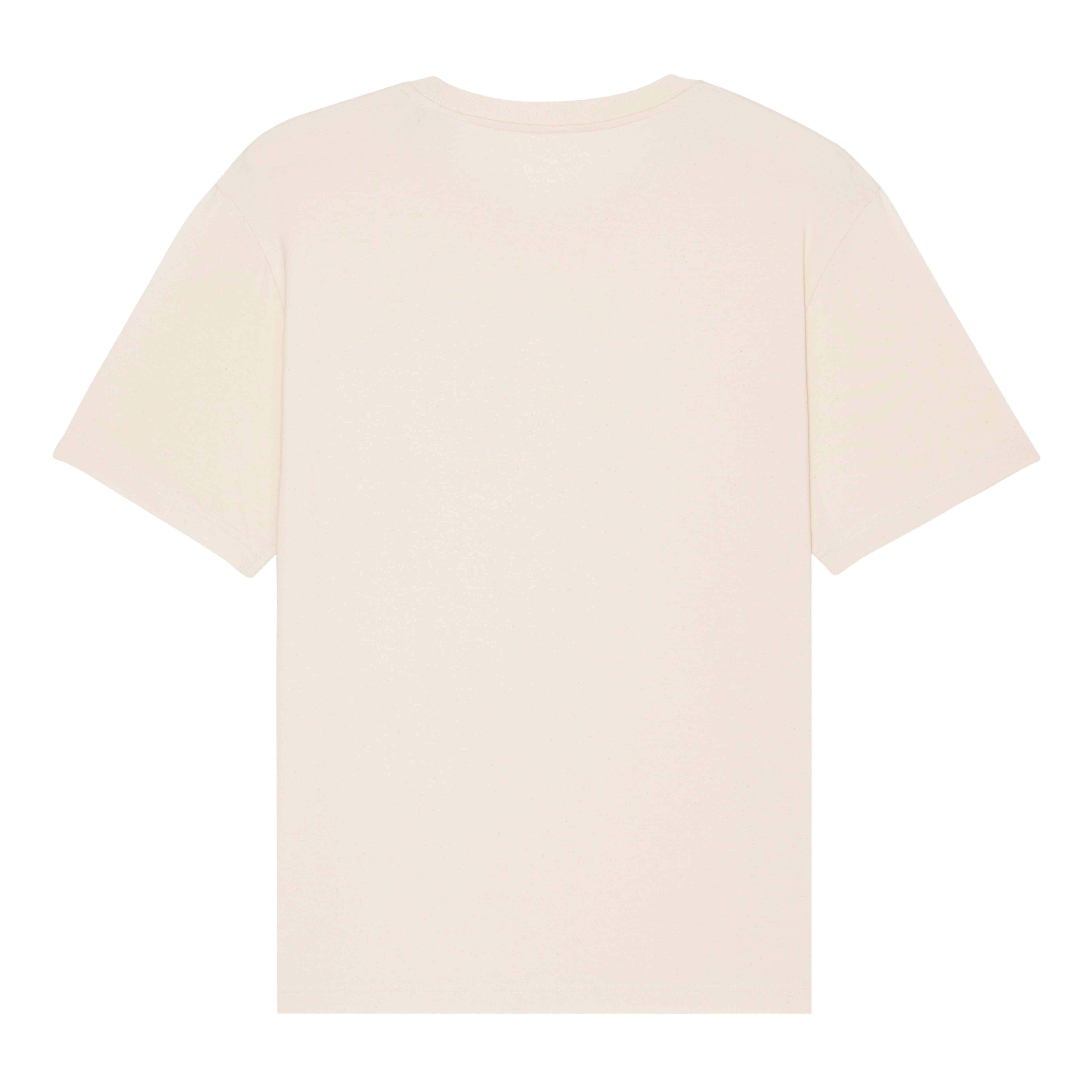 Unisex Blake T-shirt natural raw back